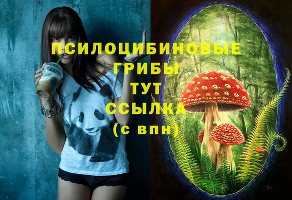 амф Михайловск