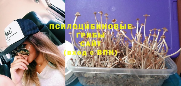 ПСИЛОЦИБИНОВЫЕ ГРИБЫ Михайловка