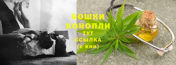 амф Михайловск